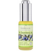 Saloos Oils Lisované Za Studenou Švestkový Bio švestkový olej 20 ml