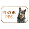 Austrálsky dobytkársky pes - Kovová tabuľka POZOR PES