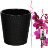 Obal na kvetináč čierny 9,5 cm + opora na rastliny 58 cm sada