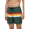 Quiksilver Everyday Printed Volley 15 GRT6/Forest Outside Stripe XXL