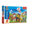 Trefl Puzzle Paw Patrol/Tlapková patrola v tráve 33x22cm 60 dielikov