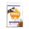 Iams Cat Kitten Chicken 2kg