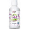 Amix CarniLine® Pro Fitness 2000 480 ml, Príchuť pomaranč, Balenie 480 ml