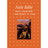 Naše Itálie - Stará i mladá Itálie v české kultuře 19. století