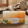Parafínové vonné sviečky valce ARTMAN FLORIS VANILLA SWEETS 6x9 cm 3 ks
