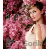 Always Audrey - ACC Art Books