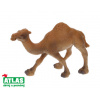 Atlas B Velbloud jednohrbý 11 cm