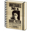 Pyramid International Zápisník Harry Potter Sirius & Harry 3D A5