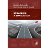 Strategie a zdroje SCM - Petr Jirsák, Ing. Bedřich Rathouský Ph.D., Martin Staněk