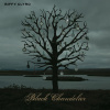 Biffy Clyro - Black Chandelier/Biblical LP