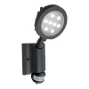 EMITHOR 70122 NEVADA LED/8W,4100K,IP54, GRAY/CLEAR