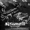 Kusumam - Fight With Windmills / Vinyl [LP]