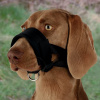 Náhubok fixačný nylon podložený pes L 18-30cm TR