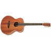 Tanglewood TWU F