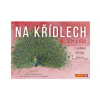 Mindok Na křídlech: Hnízdem v Asii