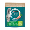 Purina One Bifensis Indoor morka 0,8 kg