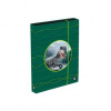 Karton P+P A4 Jumbo Oxy Sherpy Green