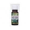 SALOOS - esenciálny olej Litsea Cubeba OBJEM: 20 ml
