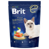 Brit Premium (VAFO Praha s.r.o.) Brit Premium Cat by Nature Adult Salmon 800g