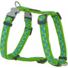 Postroj RD 12 mm x 30-44 cm - Stars Turquoise
