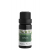 Nobilis Tilia Éterický olej Kopaiva Obsah: 10 ml