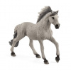 Schleich 13915 hřebec Sorraia Mustang