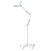KOZMETICKÁ LUPA LAMPA LED MOONLIGHT 8012/5