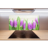 Panel do kuchyne Fialové tulipány 100x50 cm