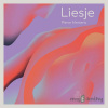 Liesje - Pierre Mertens - online doručenie