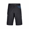 Ortovox pánske kraťasy Pelmo Shorts M | farba: black raven, veľkosť: XL