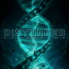 Disturbed - Evolution CD