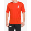 Merino tričko Ortovox 140 Cool Mtn Gradient TS - hot orange