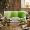 Parafínové vonné sviečky valec ARTMAN FLORIS BERGAMOT & PATCHOULI 6 x 9 cm zelené 3 ks