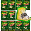 Repelent, plašič pre zvieratá - 10x bzučiak Paw Paw Mouse Paw na lepidle - Strong - Big XXL (10x bzučiak Paw Paw Mouse Paw na lepidle - Strong - Big XXL)