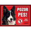 Juko Plastová tabuľa Pozor Pes Border Kólia 21 x 14,7 cm