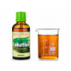 Kokotice čínská - bylinné kapky (tinktura) 50 ml - doplněk stravy