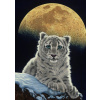 Grafika Schimmel Moon Leopard II 1500 dielov