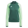 adidas Women's Tiro23 C Tow Long Sleeve Performance T-Shirt Team Dark Green 6 (XXS)