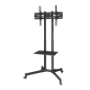 TV stojan Trolley na kolieskach, do 75, výškovo nastaviteľný - HAMA 00220874