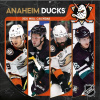 JF Turner Kalendár Anaheim Ducks 2025 Wall Calendar
