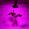 Osvetlenie pre rastliny - 24W 200-LED E27 LED žiarovka na pestovanie rastlín (Osvetlenie pre rastliny - 24W 200-LED E27 LED žiarovka na pestovanie rastlín)