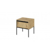 Dig-net nábytok Nočný stolík SWING TR-10 | dub artisan