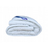 Perina, paplón - Eco-Puch Qulday 200 x 140 cm (Anti -allergická prikrývka 140x200 Premium, biela)