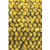 Moderní vlněný kusový koberec B&C Cobble 29206 Brink & Campman 250 x 350