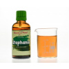 Stephania tetrandra - bylinné kapky (tinktura) 50 ml - doplněk stravy