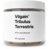 Vilgain Tribulus Terrestris 90 kapsúl