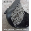 Křik paviánů Baboon Shriek - Jiří David