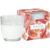 BISPOL-AURA Vonná sviečka Red Fruits Aloe - sklo 100g