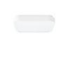 Rabalux 71260 SAMIRA stropné svietidlo LED 18W
