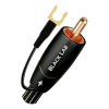 Audioquest Black Lab 2m (High End subwooferový kábel s uzemňovacím káblom. 1x RCA - 1x RCA.)